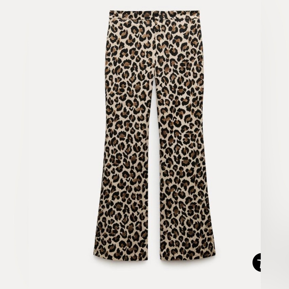 Zara leopard pants